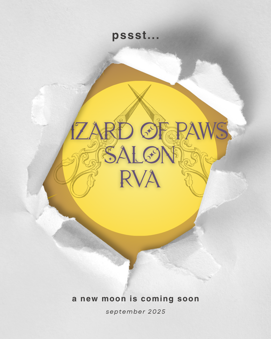 Wizard of Paws Trademark